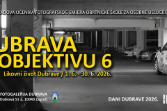 Dubrava-u-objektivu-1.6