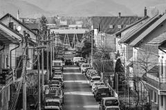 Dubrava-u-objektivu-6-Antea-Jakic