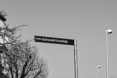 Dubrava-u-objektivu-6-Sara-Drmecic