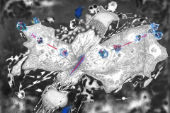 Snjezana-Kodaric-Ivankovic-4