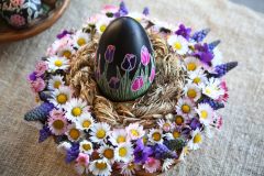 90203441_2426843957626383_7036642669921042432_n