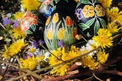 IMG-26efd6edb2fe4c3bf4606c4ddc50e31f-V