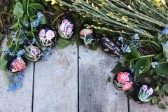 medimurska-crna-pisanica-IMG_20190420_115510